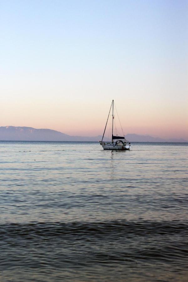 Acelya Bodrum