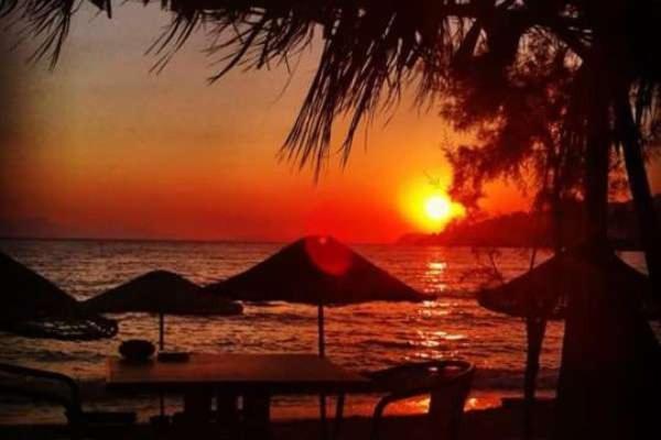Alfa Bodrum