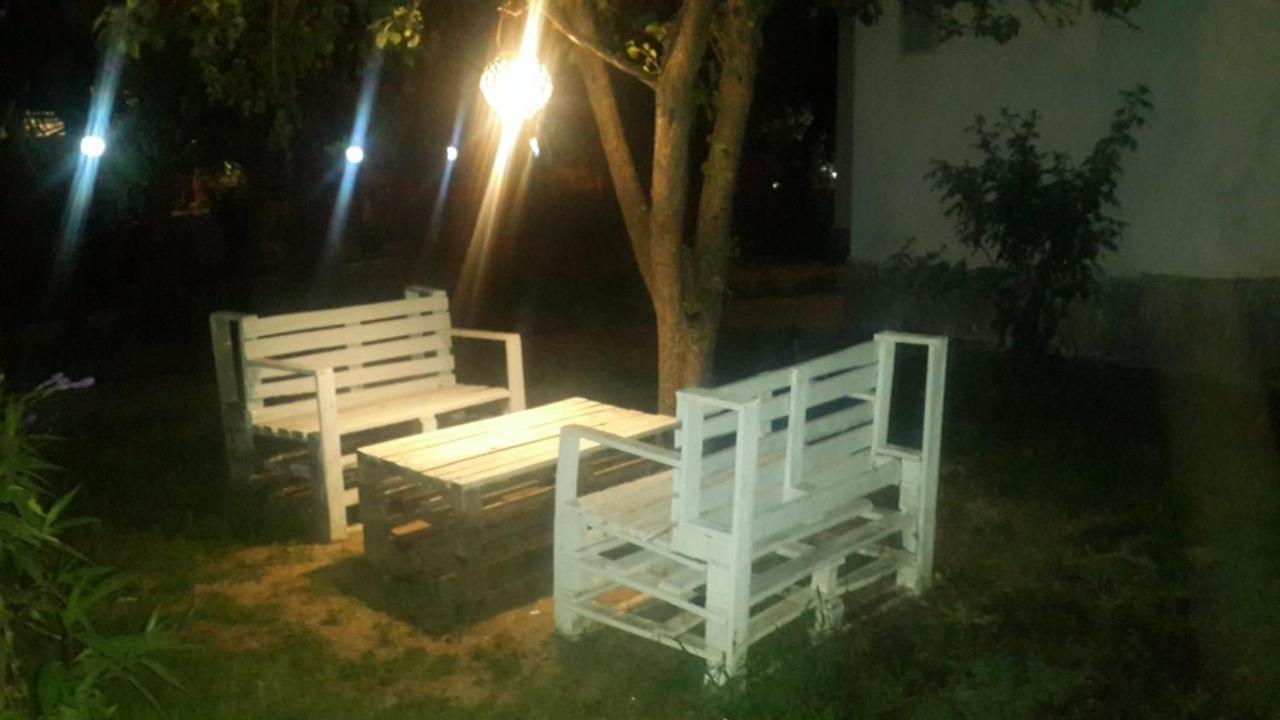 Alfa Bodrum
