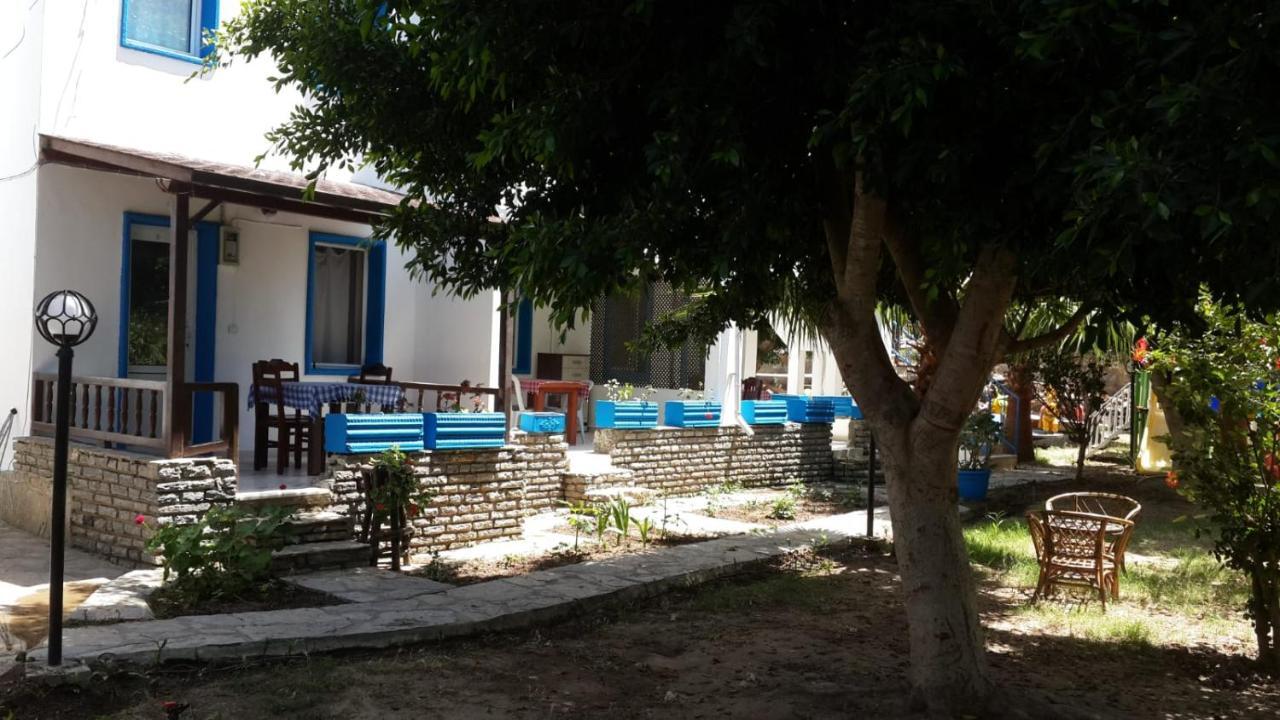 Alfa Bodrum