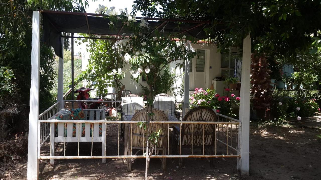 Aparthotel Alfa 3*