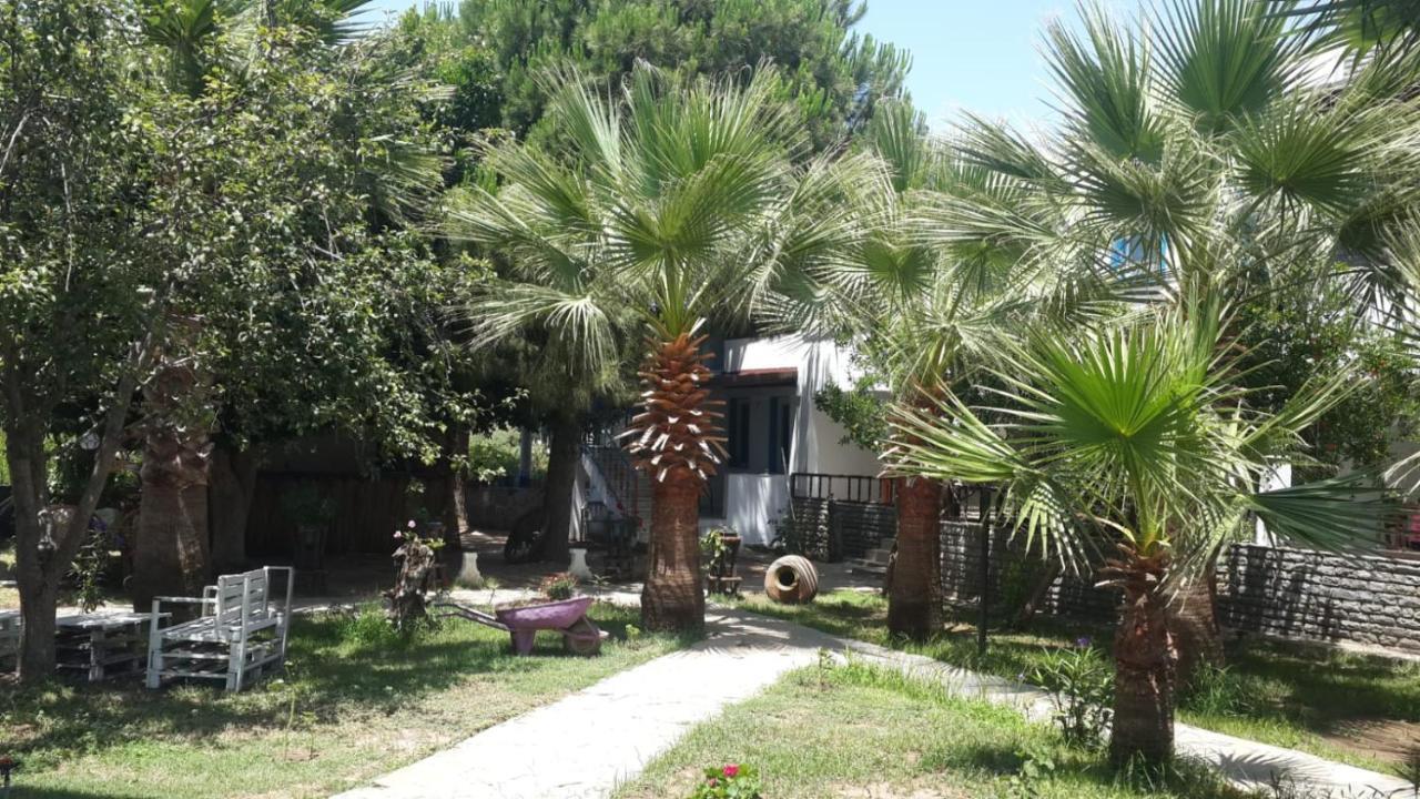 Alfa 3* Bodrum
