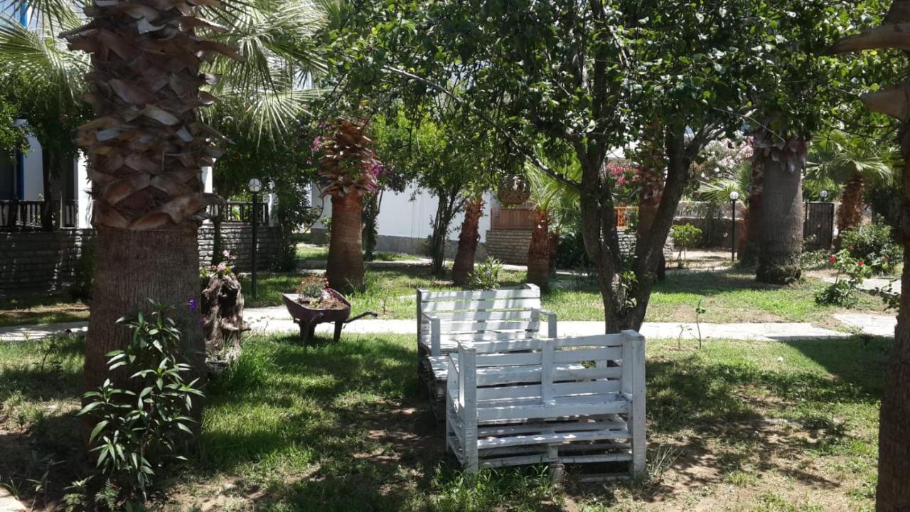 Alfa 3* Bodrum