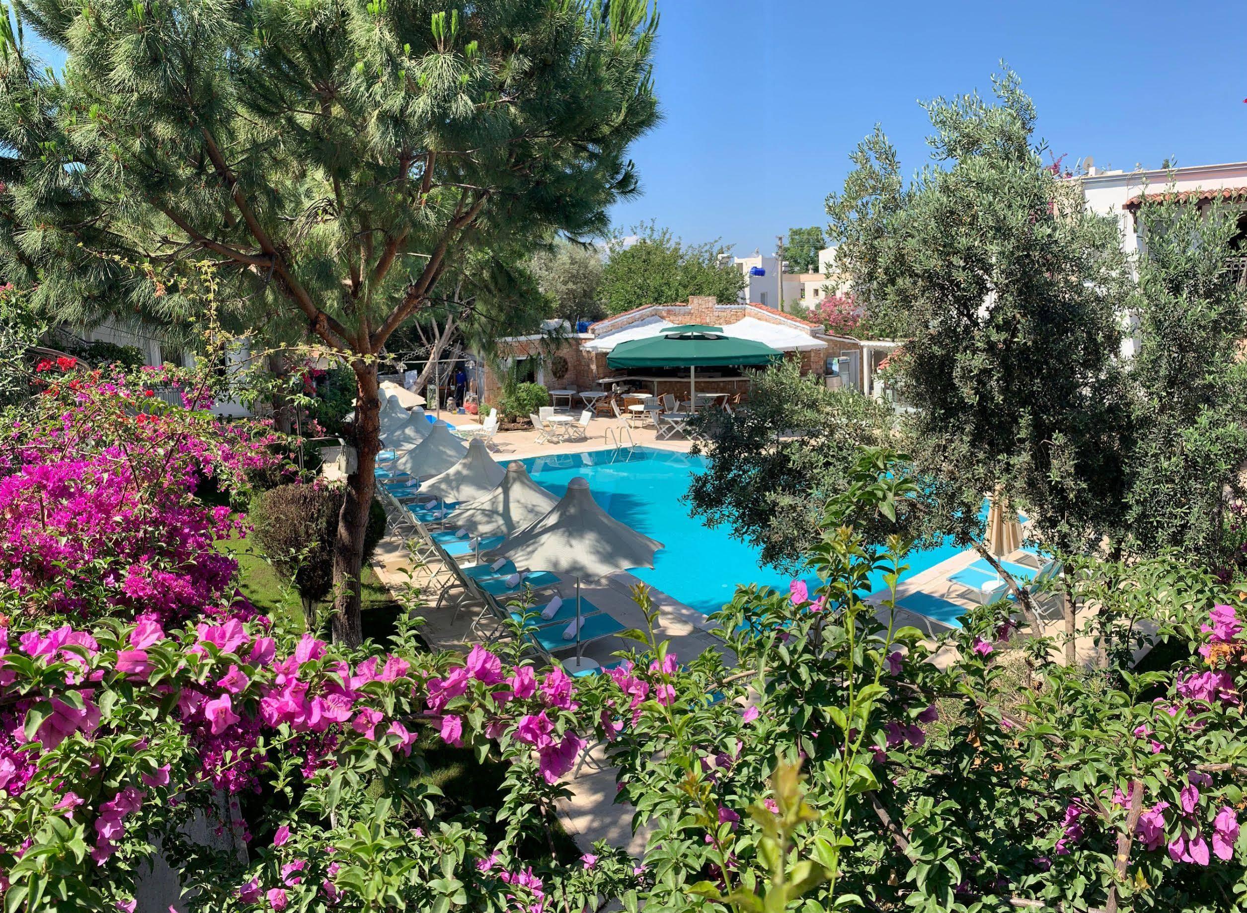 Hotel Moonshine & Bodrum