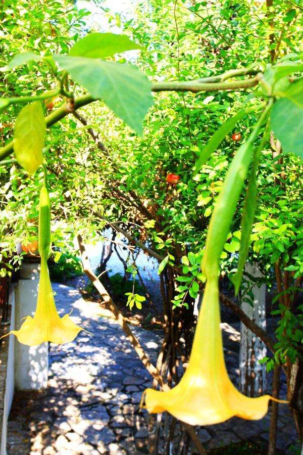Guest house Camlikosk Bodrum