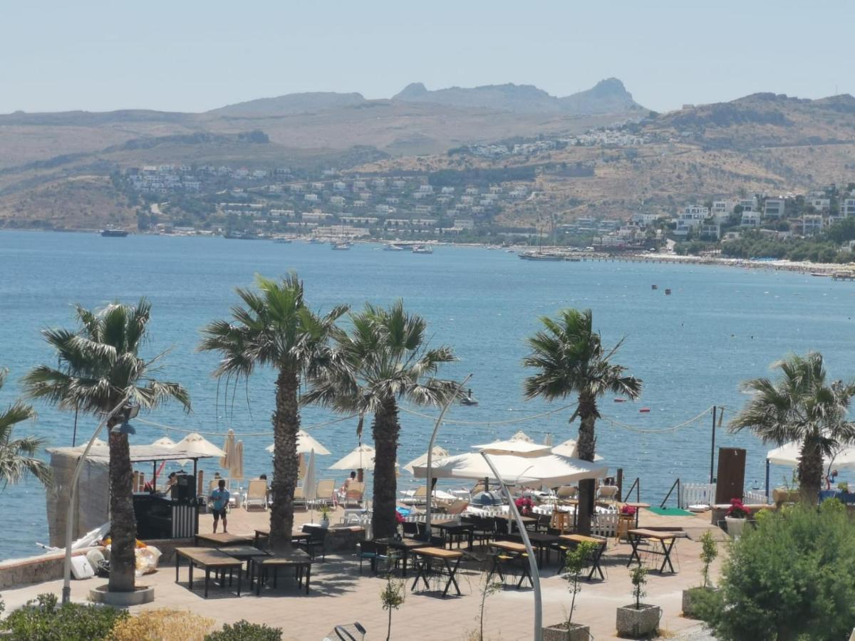 Tatil Evi Park Marin Tatilevi *