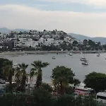 Pasha Motel