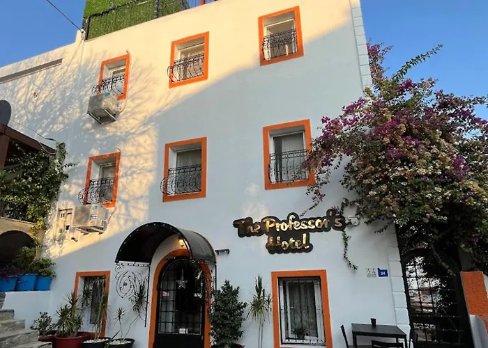 The Professor\'S Hotel