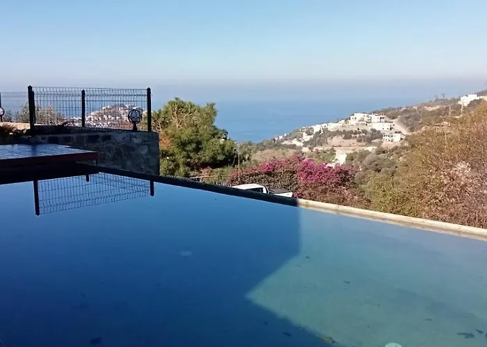 Oezel Havuzlu Tas Villa