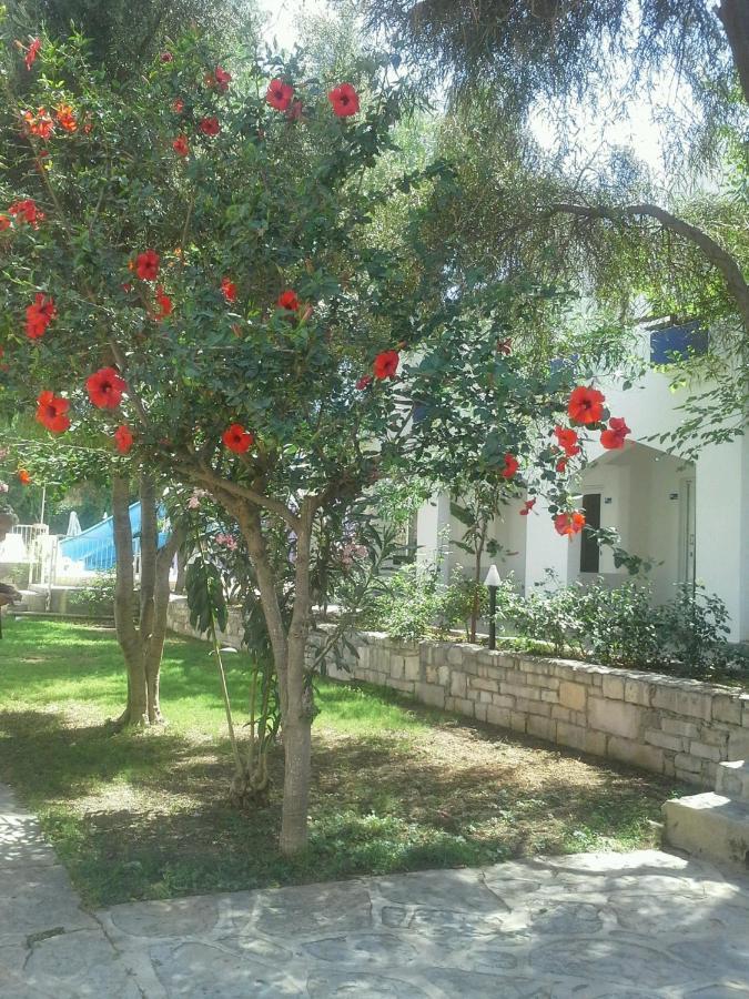 Hotel Tenda Bodrum