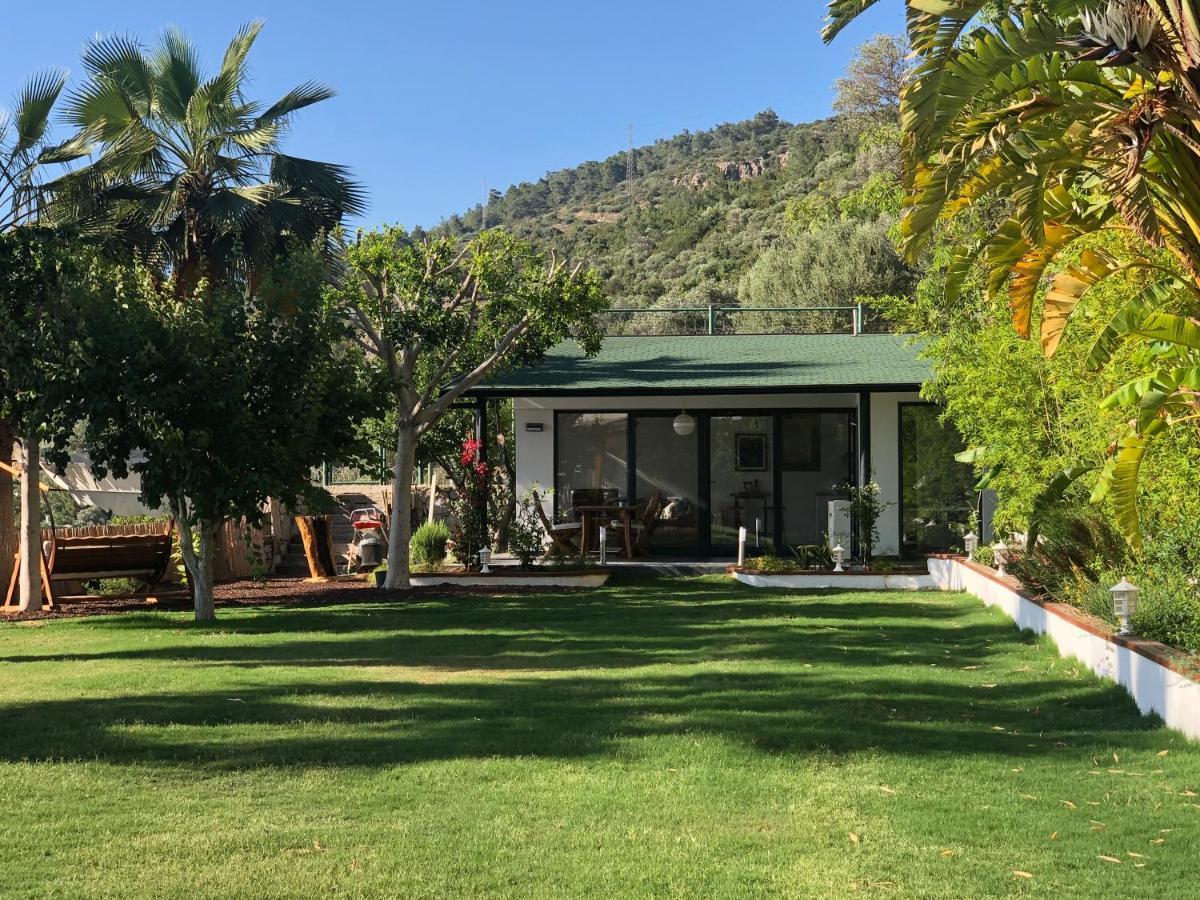 Dream House * Bodrum