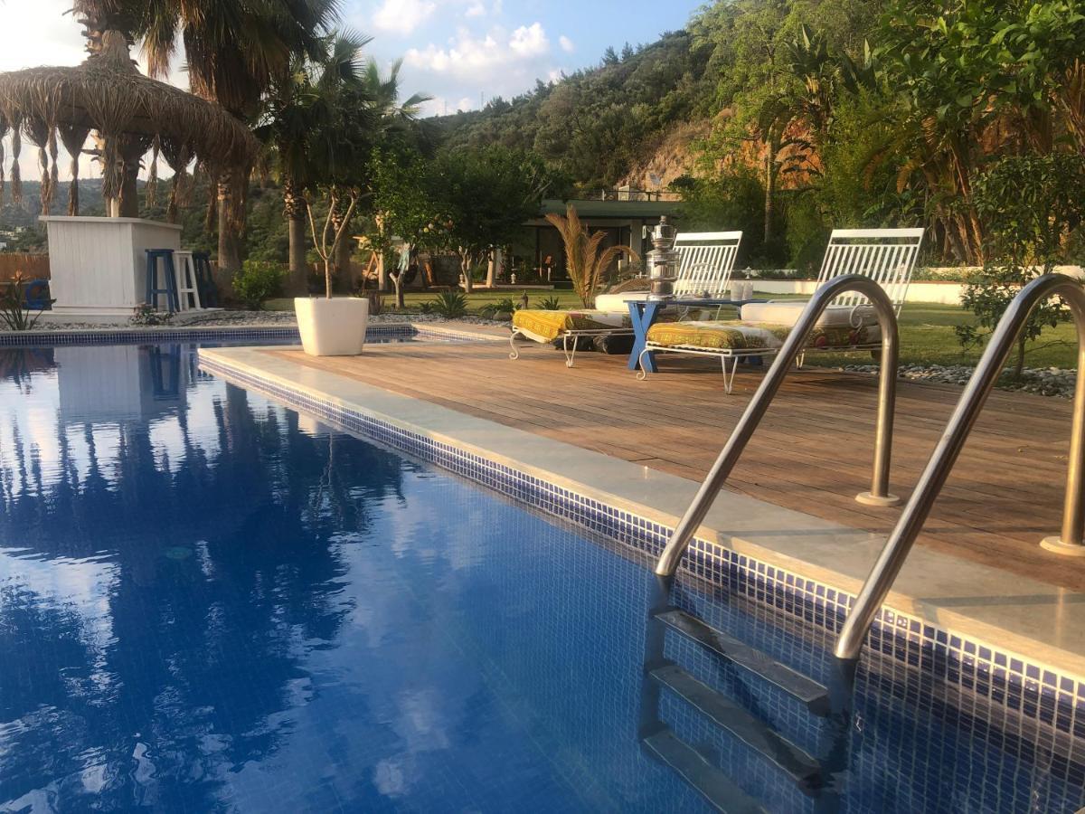 Vakantiehuis Dream House