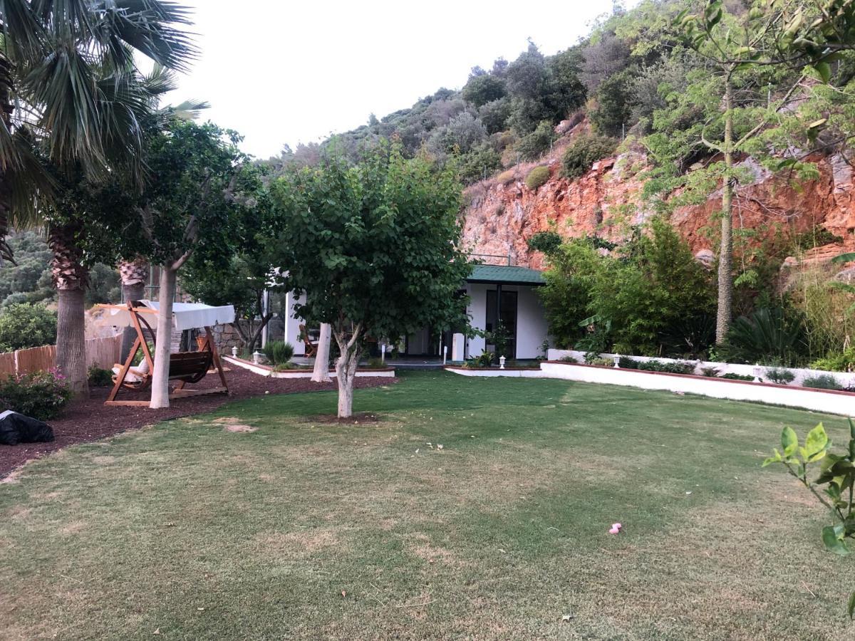 Dream House Vakantiehuis *