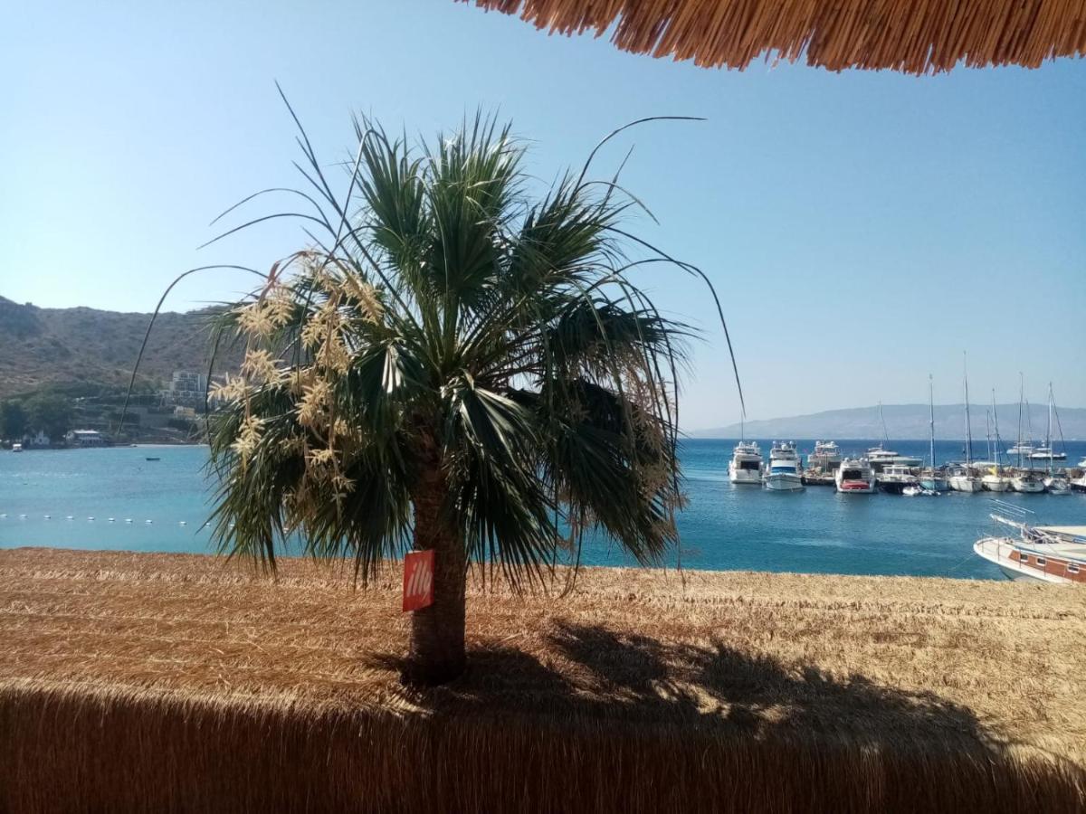 Aksoy Tas Ev *