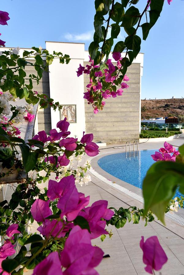 Appartement Royal Palm