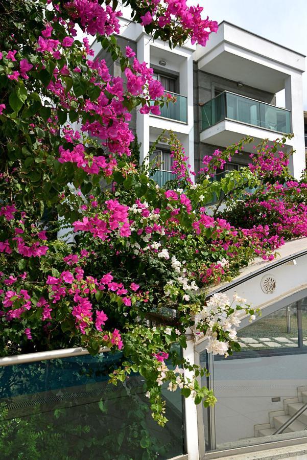 Royal Palm Appartement Bodrum