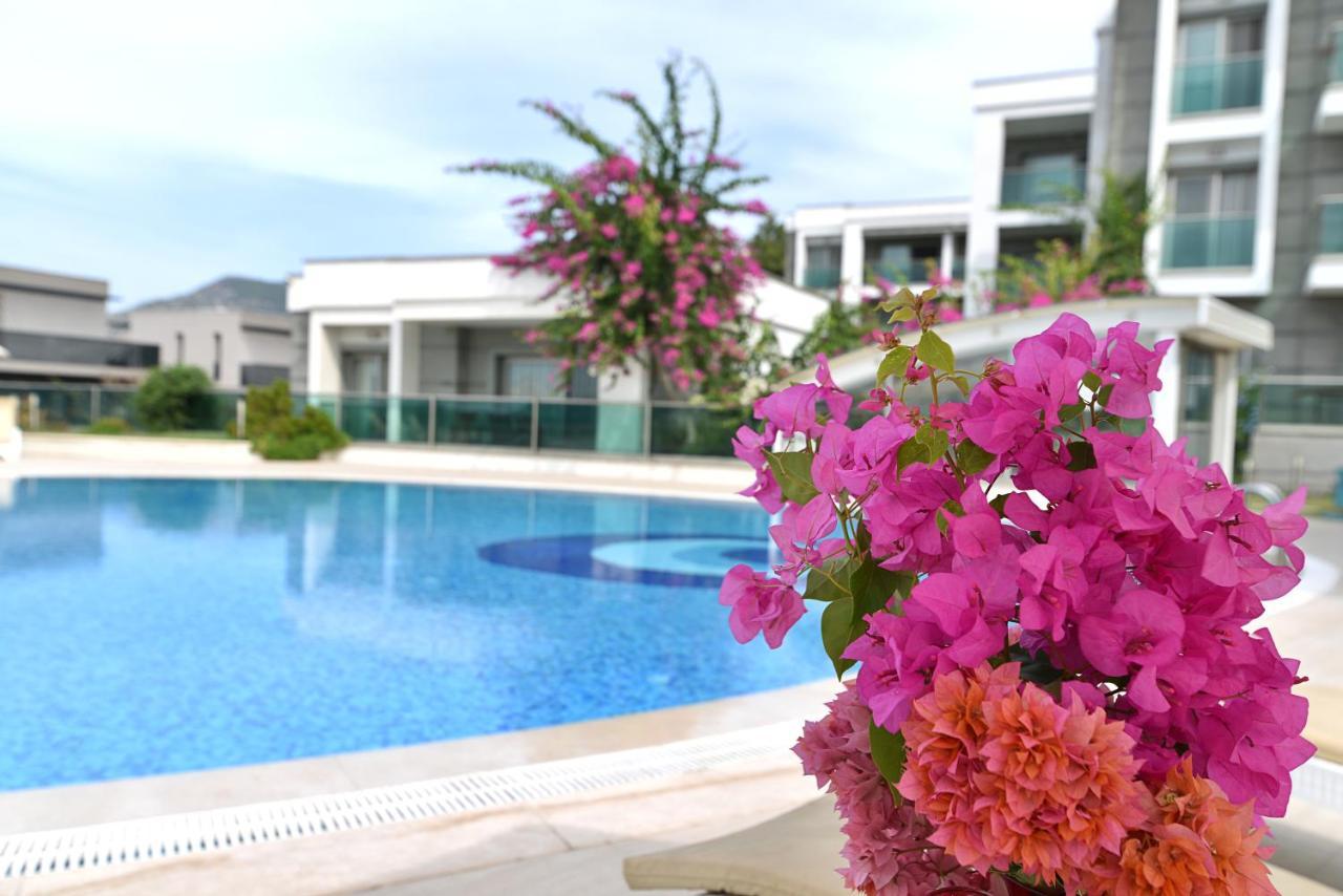 Royal Palm * Bodrum