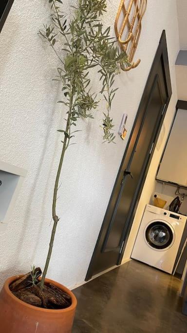 K Studio Apartment Bodrum