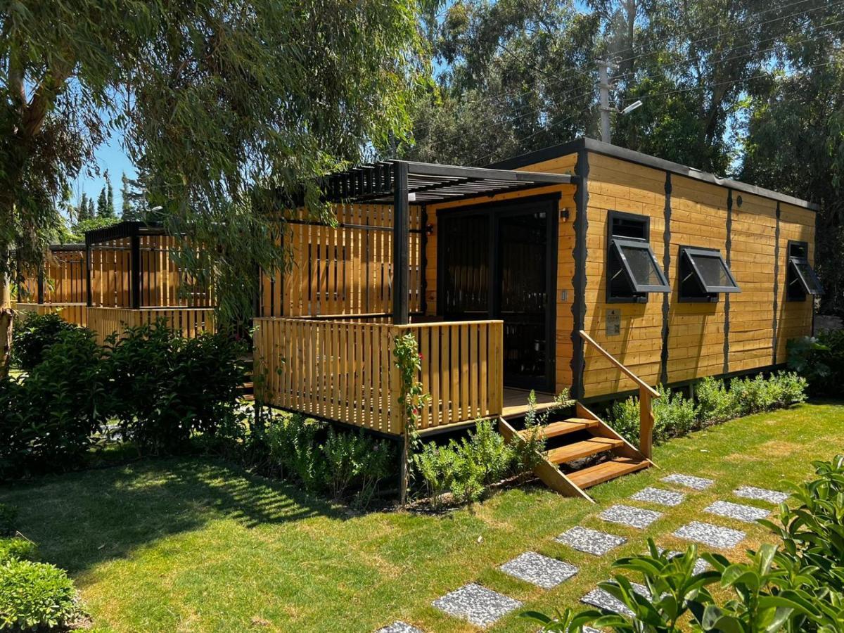 Hotel Bitez Tiny House & Bodrum
