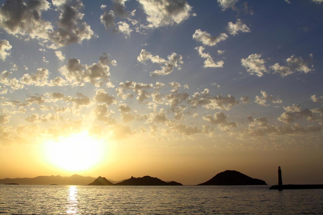 Ds * Bodrum