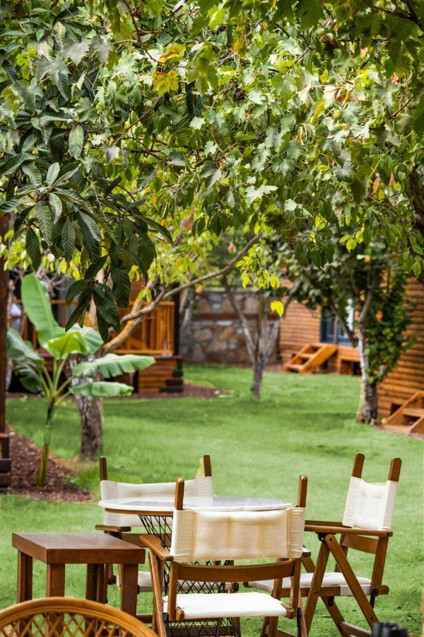 Hotel Dolce Luxury