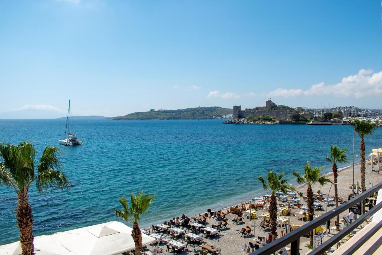 Dinc Bodrum