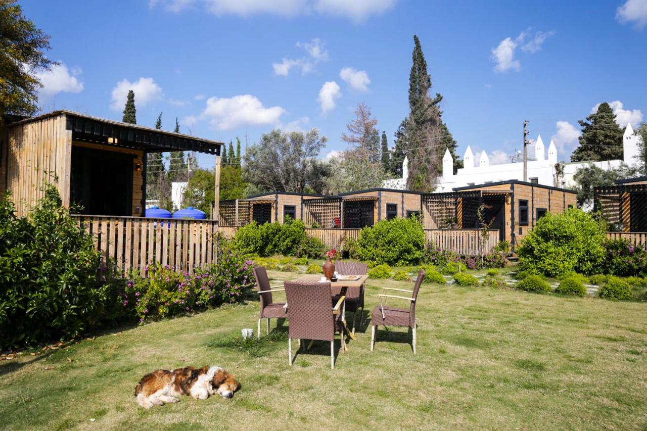 Hotel Bitez Tinyhouse Bodrum