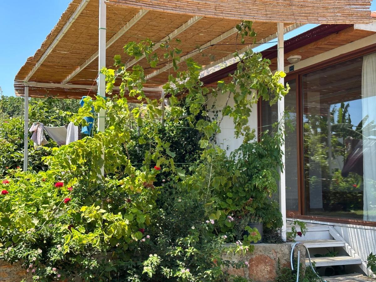 Incekum Pansiyon * Bodrum