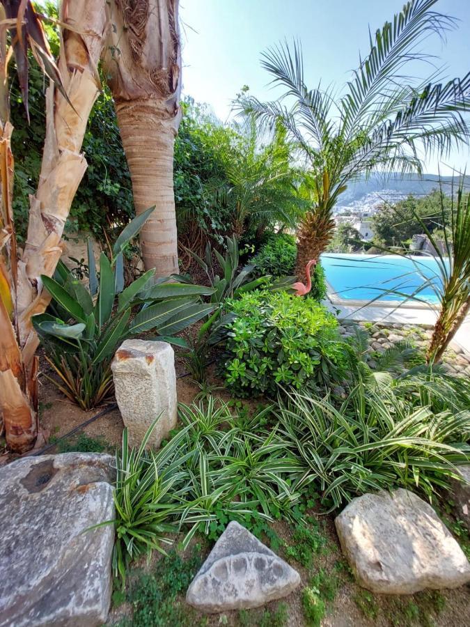Castello * Bodrum