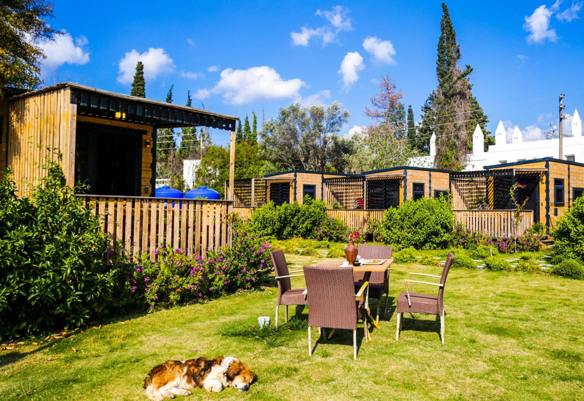 Bitez Tiny House & Bodrum