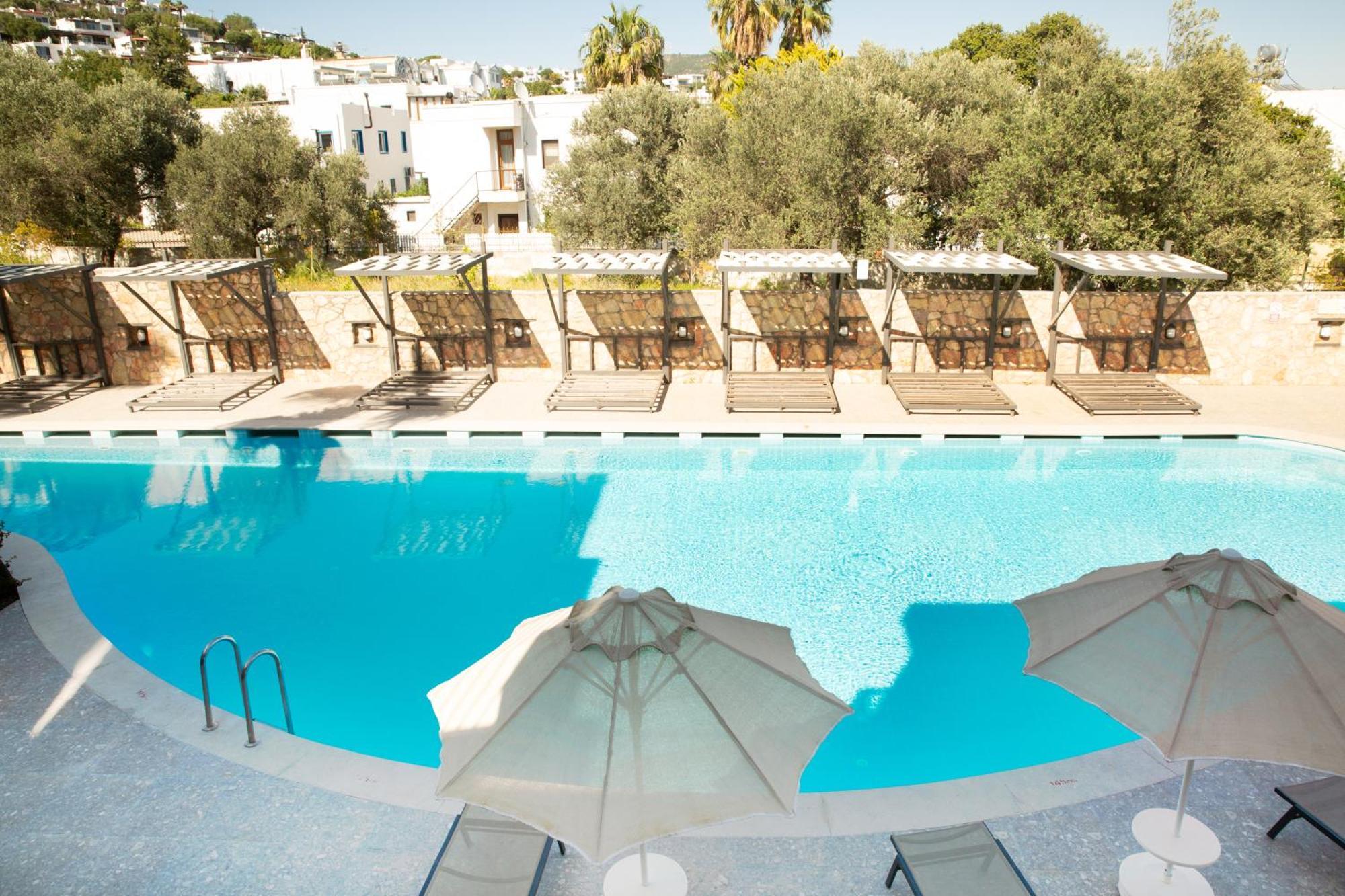 Queen By Important Group Travel Aparthotel