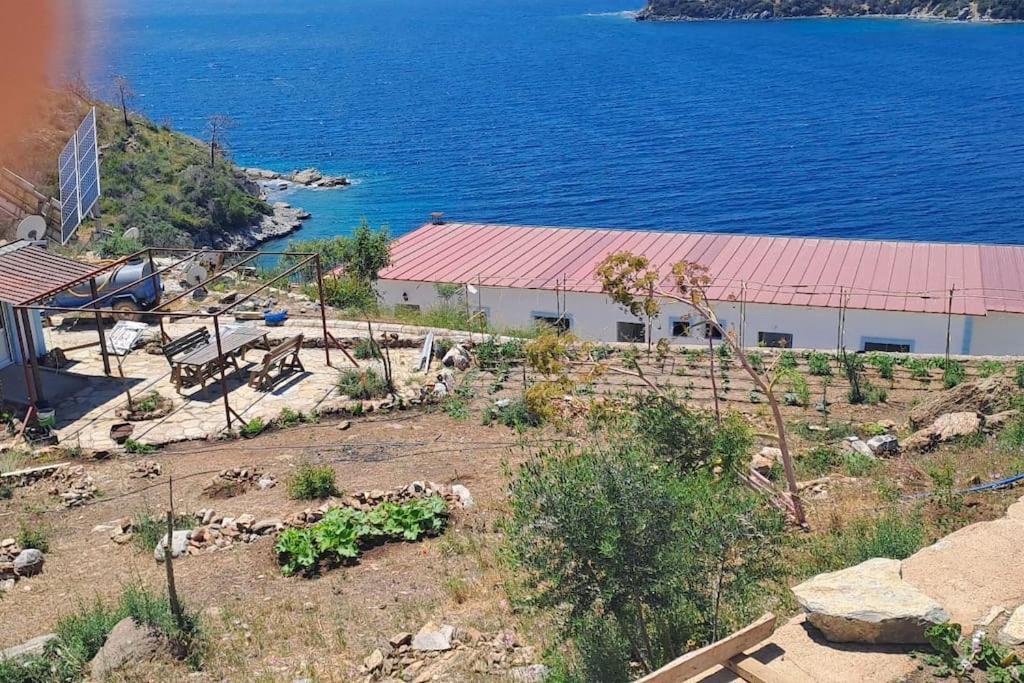 Denize Sifir Mustakil Ev Mazi 172 4