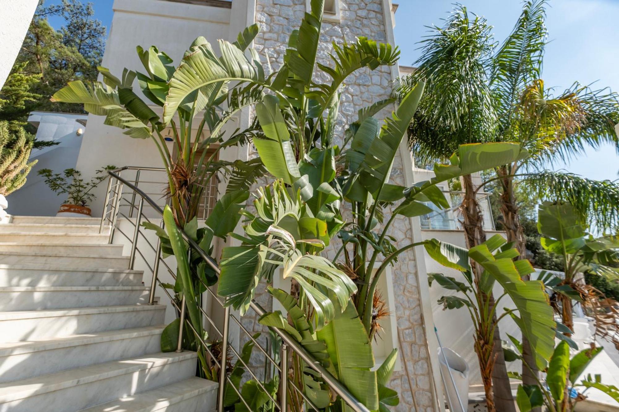 Panorama Mansion Bodrum