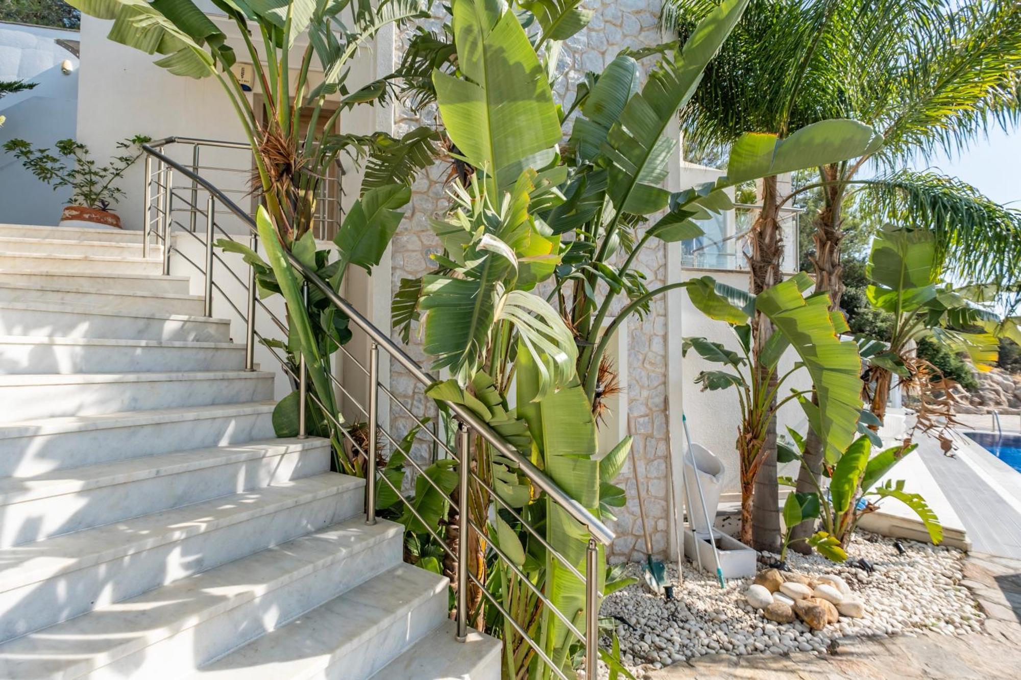 Panorama Mansion Villa