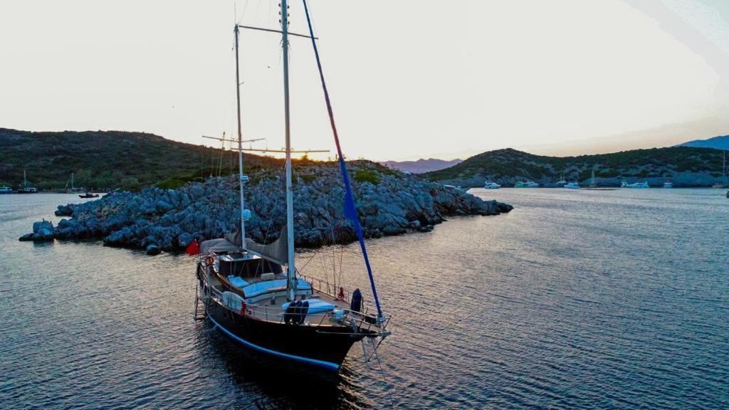 Luxury Boat In Marina *