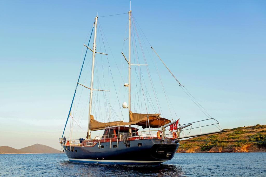 Luxury Boat In Marina
