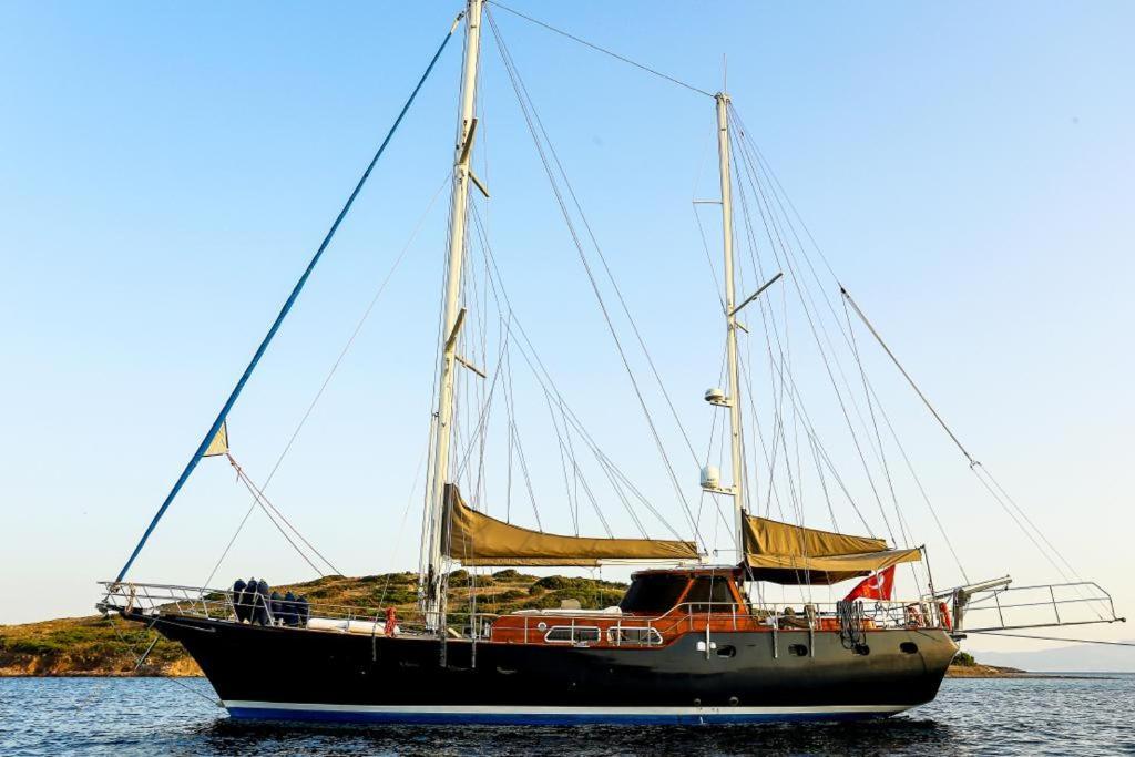 Botel Luxury Boat In Marina *