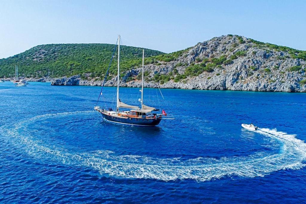 Luxury Boat In Marina Botel