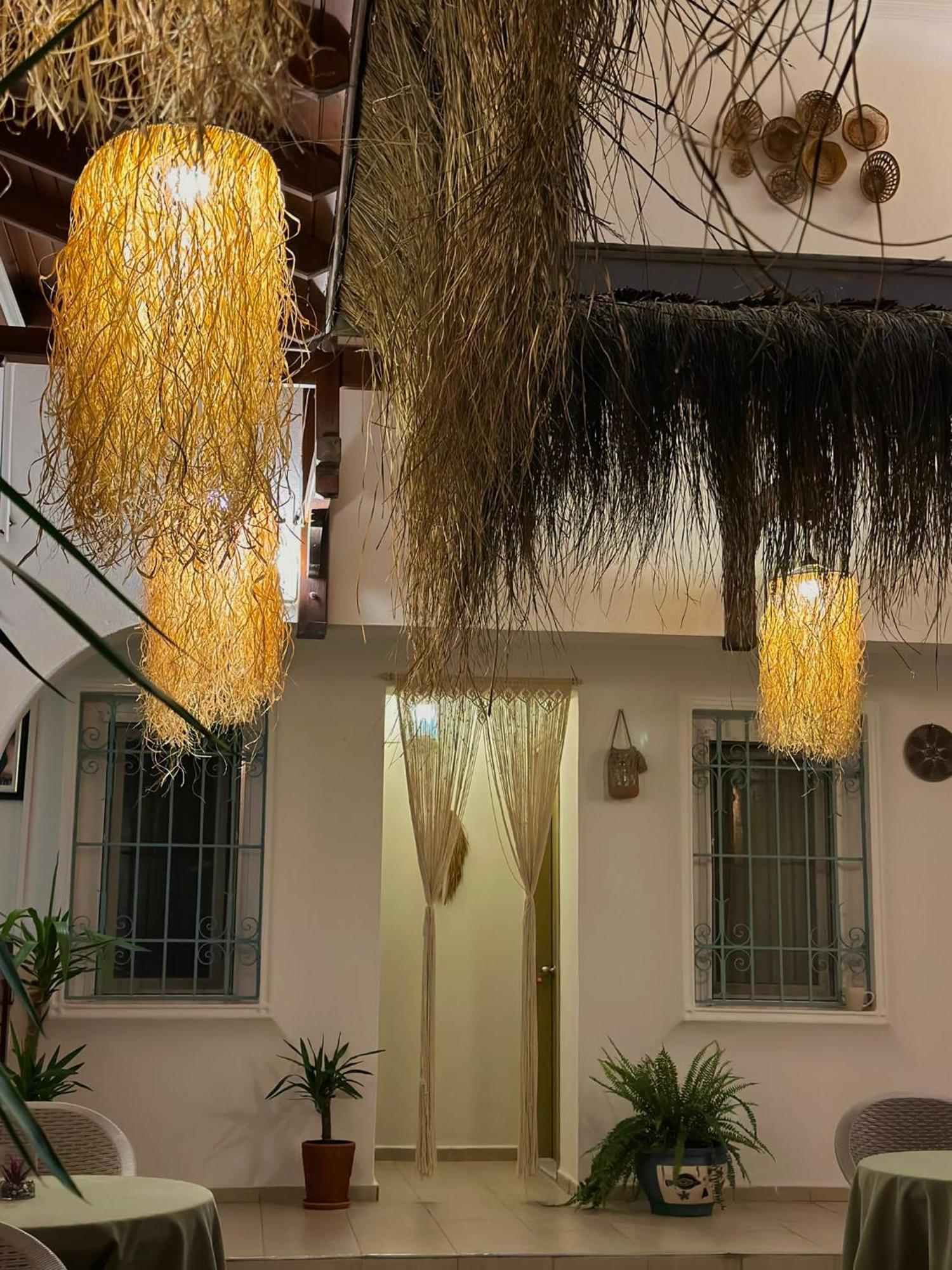 Homestay Andoya Bodrum