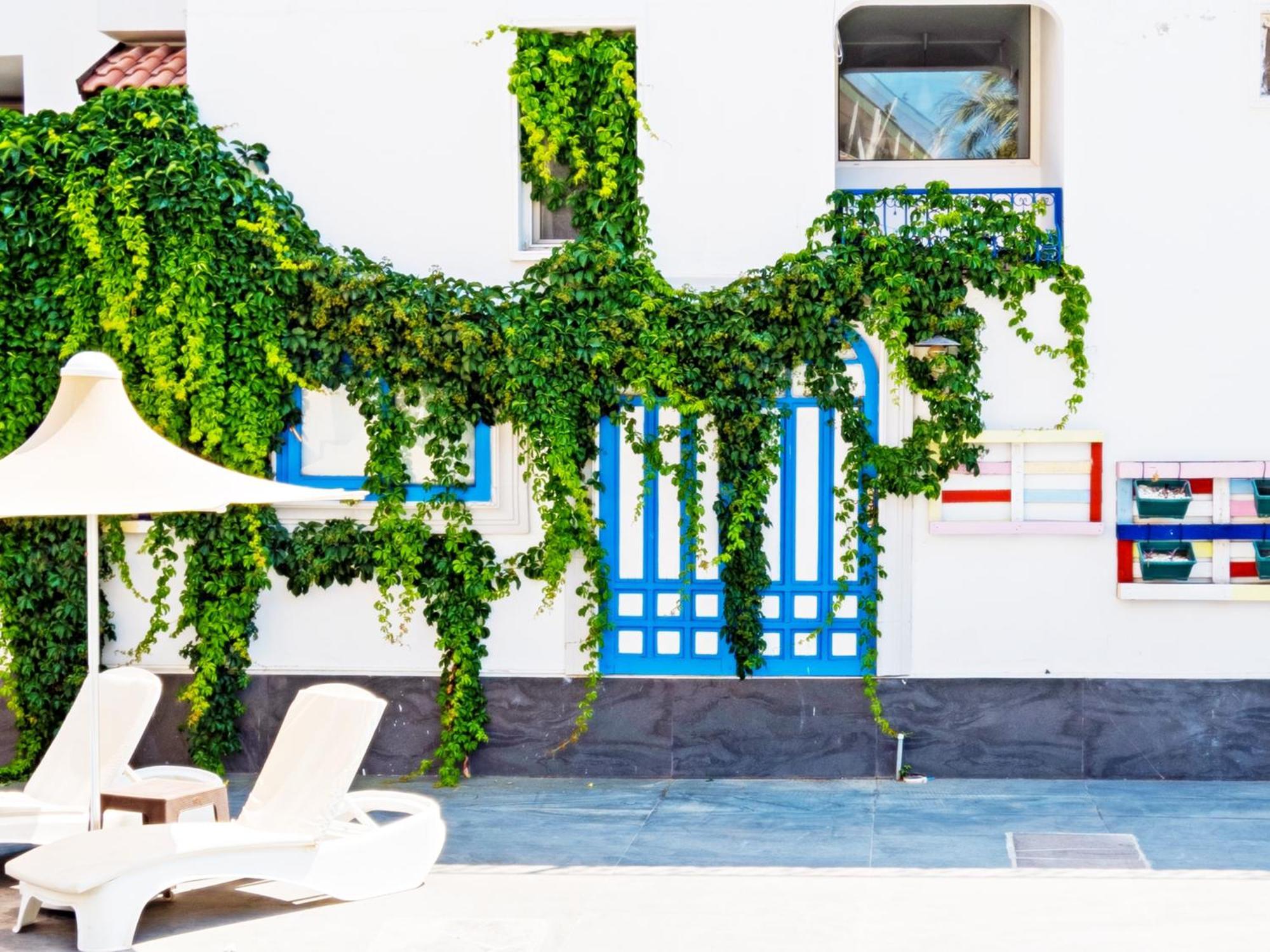 Bleu Nuit + * Bodrum