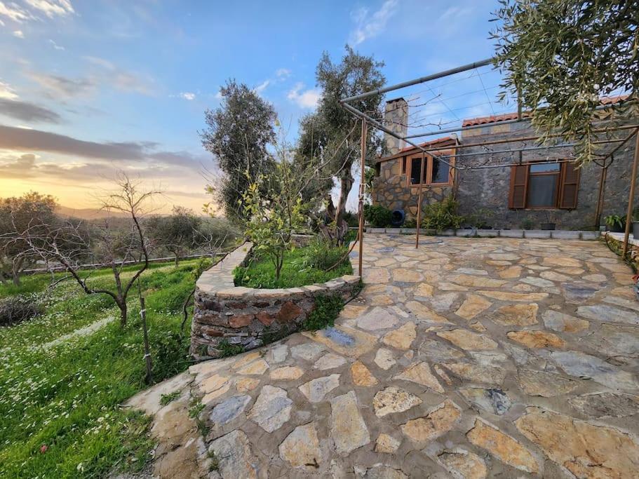 Apartamento Eleia - Olive Garden & Stone House