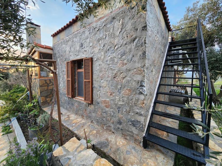 Apartamento Eleia - Olive Garden & Stone House *