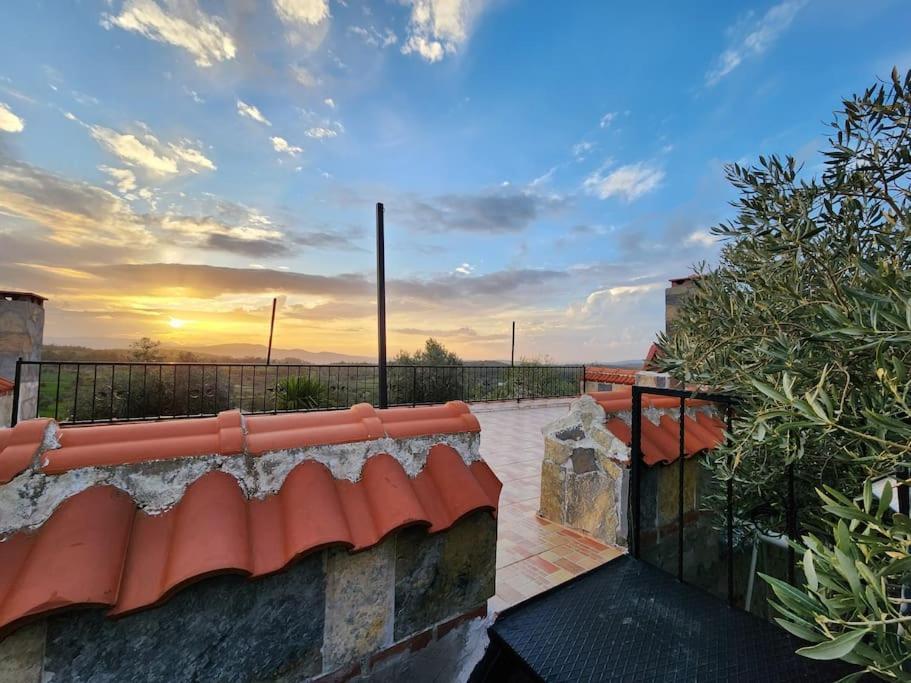 Apartamento Eleia - Olive Garden & Stone House