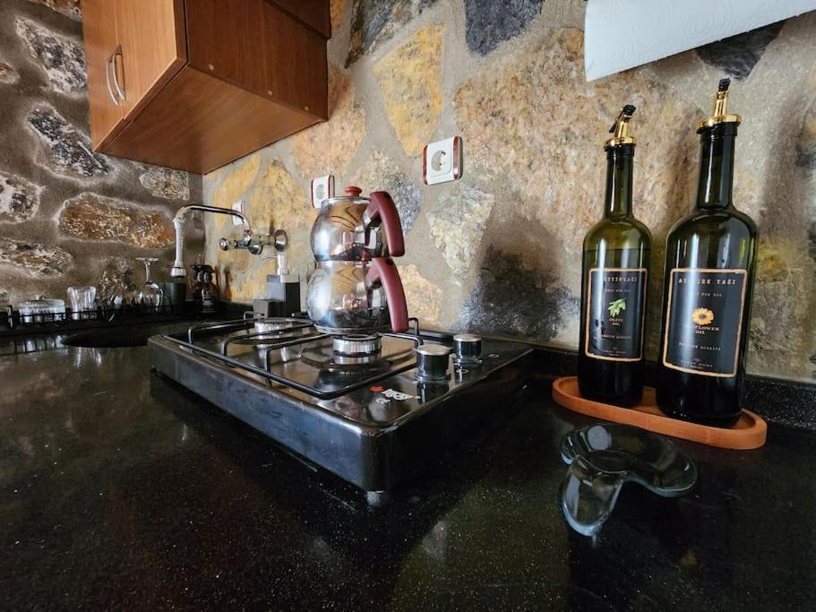 Apartamento Eleia - Olive Garden & Stone House *