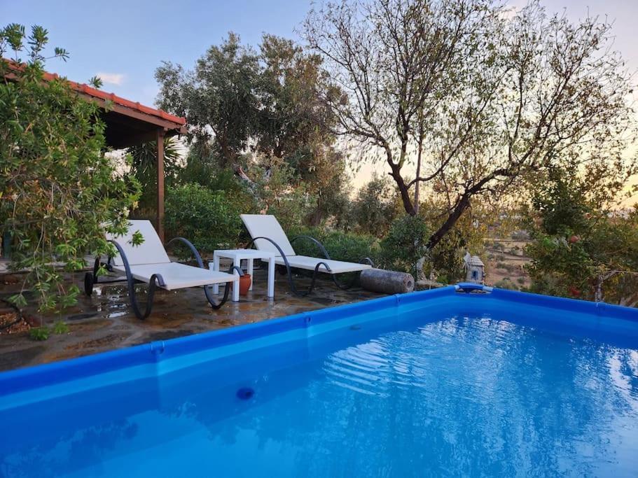 Eleia - Olive Garden & Stone House Apartamento *