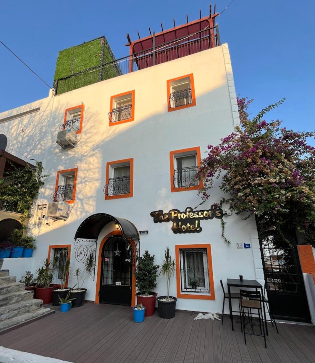 Hotel The Professor's *