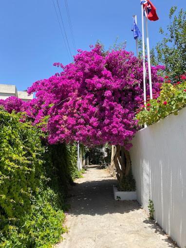 Otel Kavala *