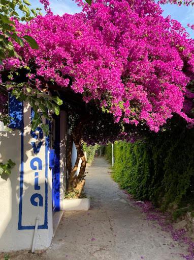 Otel Kavala