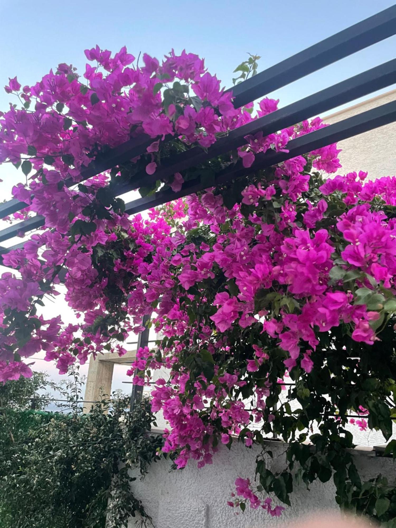 Havuzlu Ve Jakuzili Full Esyali Lueks * Bodrum