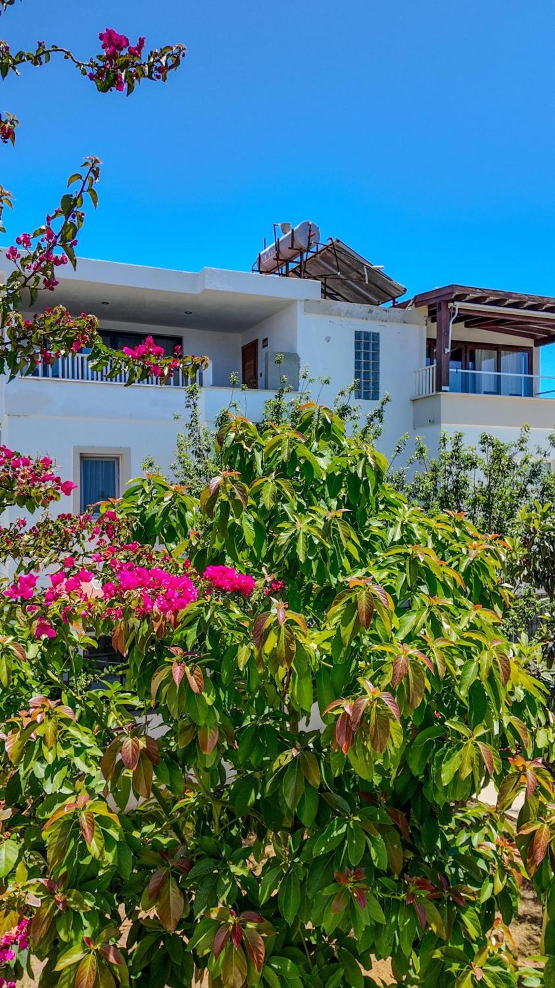 Lizbonia Otel *